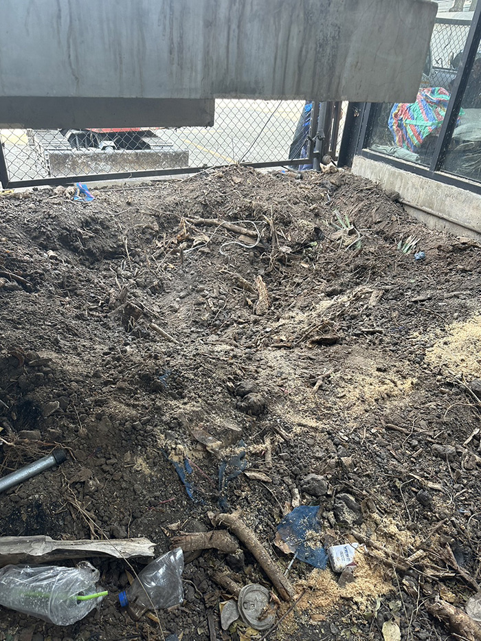 19 - https://รับจ้างตัดไม้ใหญ่กรุงเทพ.com | บริการครบวงจรด้านการดูแลต้นไม้และพื้นที่สีเขียว ตั้งแต่ตัดแต่ง โค่นต้นไม้ กำจัดวัชพืช จนถึงขนย้ายกิ่งไม้และเคลียร์พื้นที่ โดยทีมงานมืออาชีพในกรุงเทพฯ และปริมณฑล