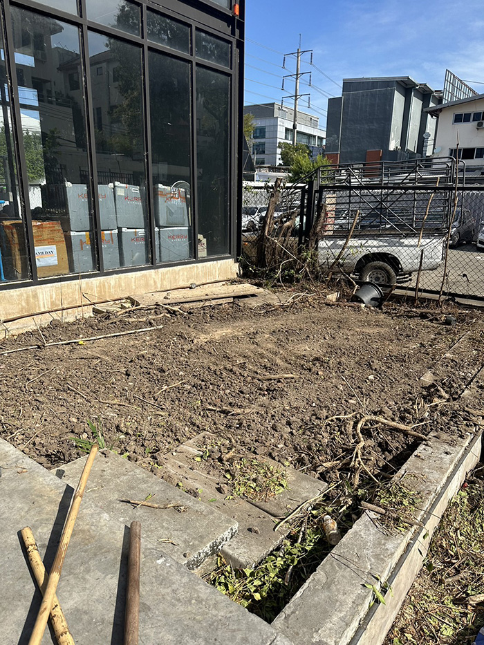 21 - https://รับจ้างตัดไม้ใหญ่กรุงเทพ.com | บริการครบวงจรด้านการดูแลต้นไม้และพื้นที่สีเขียว ตั้งแต่ตัดแต่ง โค่นต้นไม้ กำจัดวัชพืช จนถึงขนย้ายกิ่งไม้และเคลียร์พื้นที่ โดยทีมงานมืออาชีพในกรุงเทพฯ และปริมณฑล