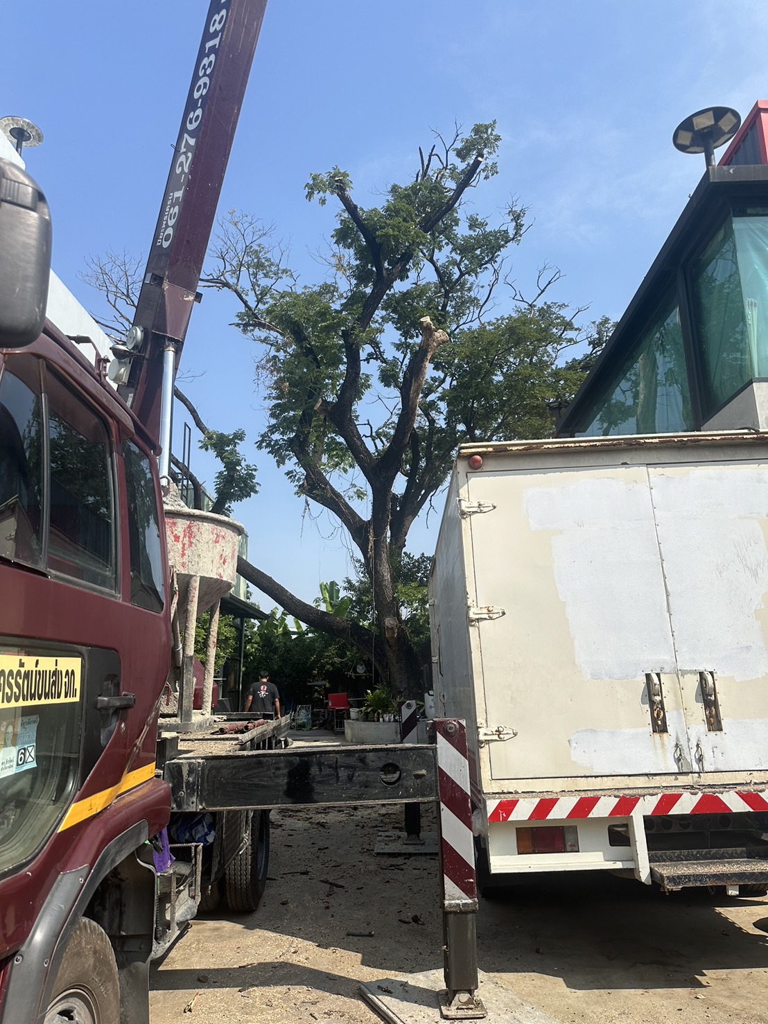 26 - https://รับจ้างตัดไม้ใหญ่กรุงเทพ.com | บริการครบวงจรด้านการดูแลต้นไม้และพื้นที่สีเขียว ตั้งแต่ตัดแต่ง โค่นต้นไม้ กำจัดวัชพืช จนถึงขนย้ายกิ่งไม้และเคลียร์พื้นที่ โดยทีมงานมืออาชีพในกรุงเทพฯ และปริมณฑล