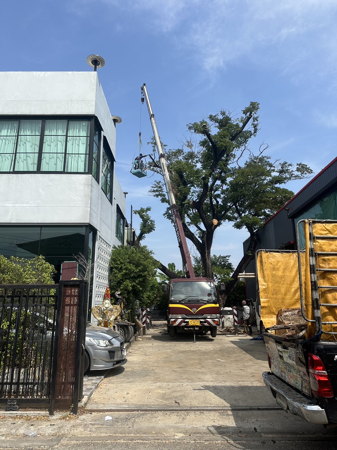 27 - https://รับจ้างตัดไม้ใหญ่กรุงเทพ.com | บริการครบวงจรด้านการดูแลต้นไม้และพื้นที่สีเขียว ตั้งแต่ตัดแต่ง โค่นต้นไม้ กำจัดวัชพืช จนถึงขนย้ายกิ่งไม้และเคลียร์พื้นที่ โดยทีมงานมืออาชีพในกรุงเทพฯ และปริมณฑล