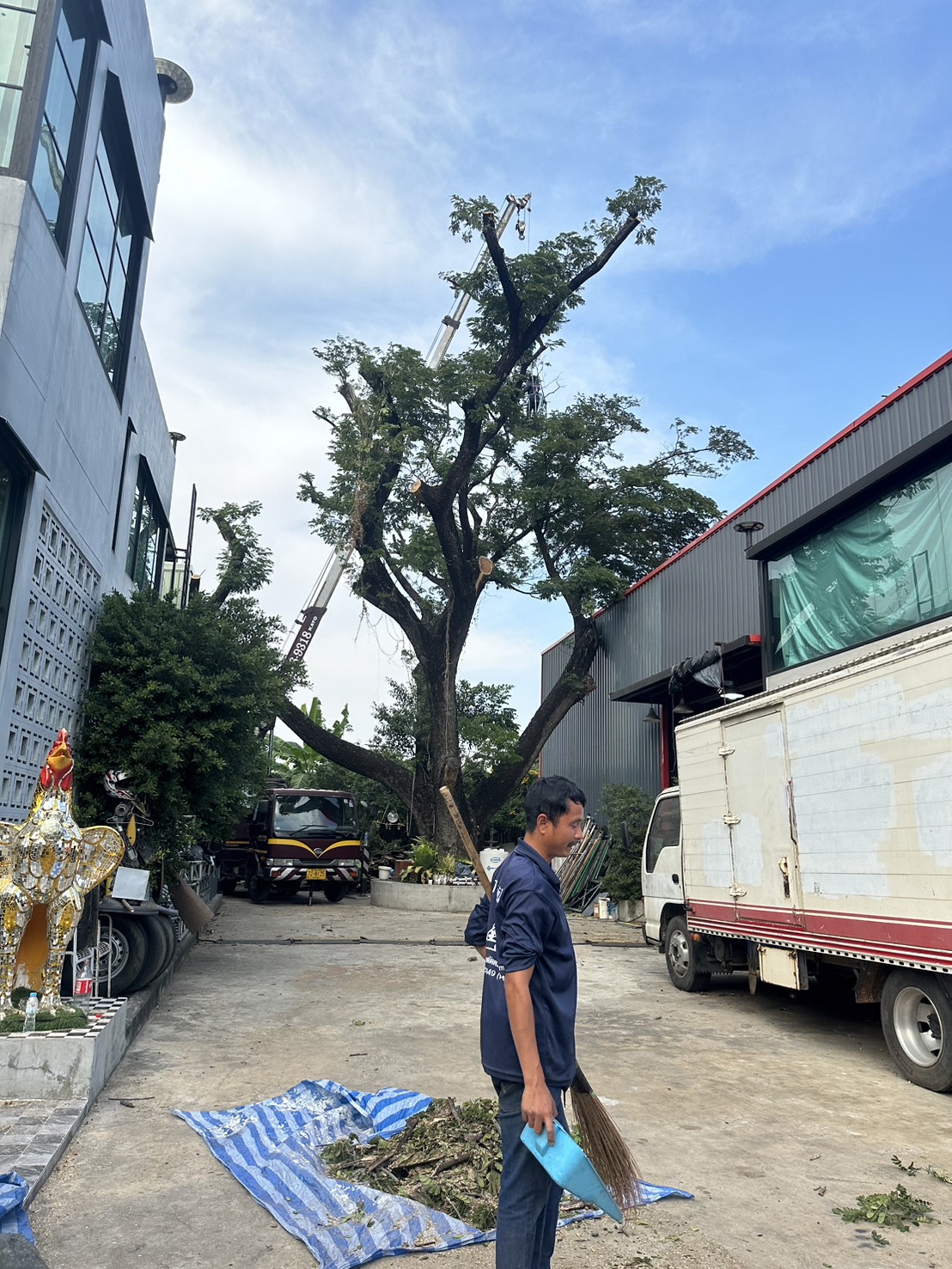 28 - https://รับจ้างตัดไม้ใหญ่กรุงเทพ.com | บริการครบวงจรด้านการดูแลต้นไม้และพื้นที่สีเขียว ตั้งแต่ตัดแต่ง โค่นต้นไม้ กำจัดวัชพืช จนถึงขนย้ายกิ่งไม้และเคลียร์พื้นที่ โดยทีมงานมืออาชีพในกรุงเทพฯ และปริมณฑล