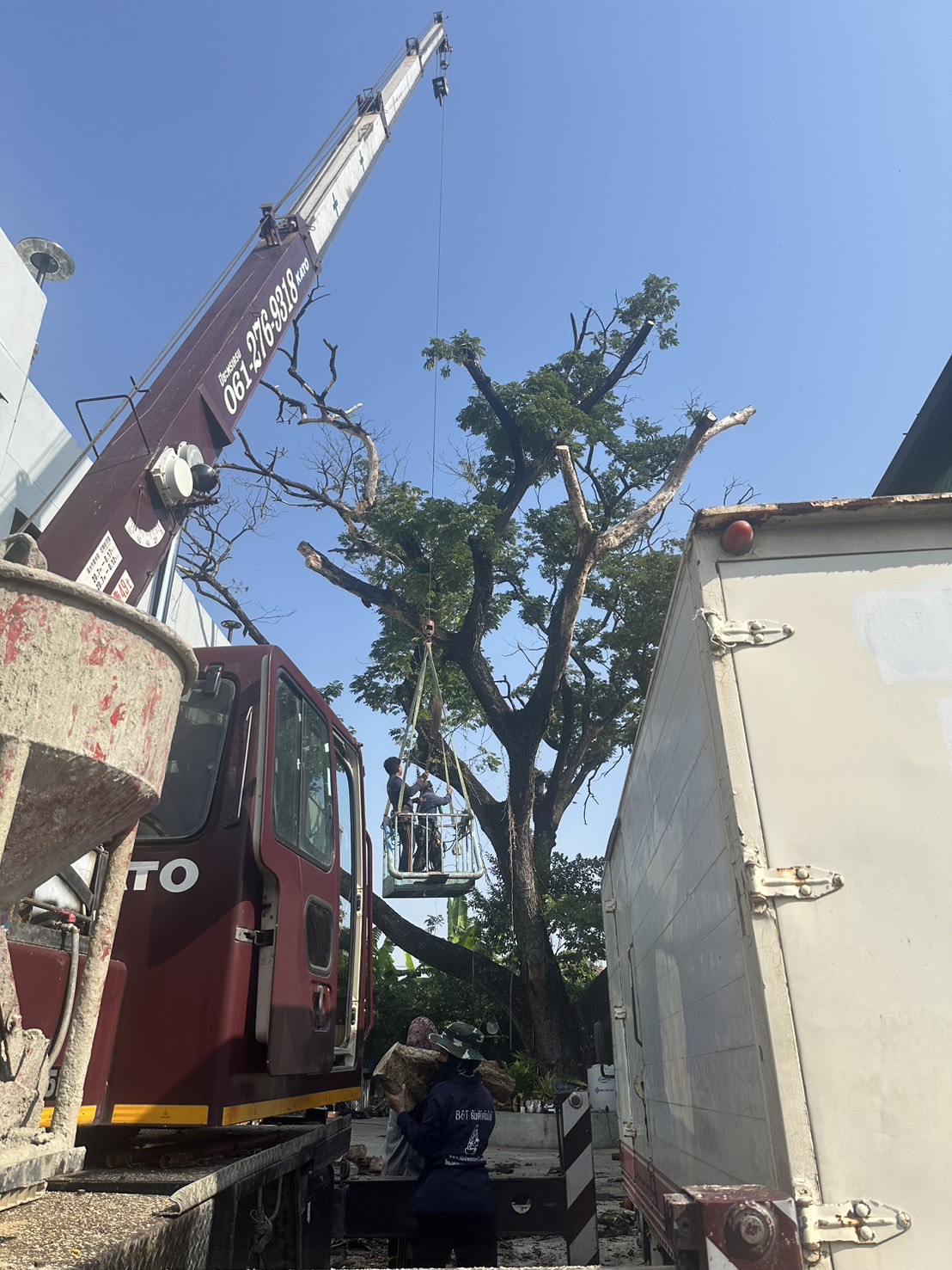 29 - https://รับจ้างตัดไม้ใหญ่กรุงเทพ.com | บริการครบวงจรด้านการดูแลต้นไม้และพื้นที่สีเขียว ตั้งแต่ตัดแต่ง โค่นต้นไม้ กำจัดวัชพืช จนถึงขนย้ายกิ่งไม้และเคลียร์พื้นที่ โดยทีมงานมืออาชีพในกรุงเทพฯ และปริมณฑล