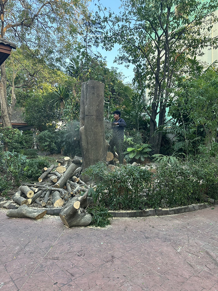 34 - https://รับจ้างตัดไม้ใหญ่กรุงเทพ.com | บริการครบวงจรด้านการดูแลต้นไม้และพื้นที่สีเขียว ตั้งแต่ตัดแต่ง โค่นต้นไม้ กำจัดวัชพืช จนถึงขนย้ายกิ่งไม้และเคลียร์พื้นที่ โดยทีมงานมืออาชีพในกรุงเทพฯ และปริมณฑล