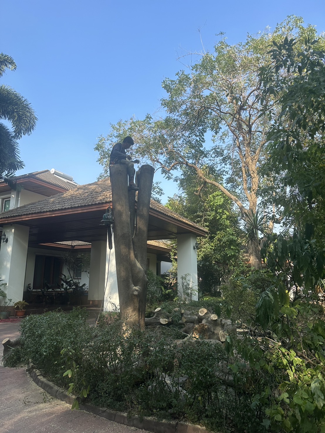 35 - https://รับจ้างตัดไม้ใหญ่กรุงเทพ.com | บริการครบวงจรด้านการดูแลต้นไม้และพื้นที่สีเขียว ตั้งแต่ตัดแต่ง โค่นต้นไม้ กำจัดวัชพืช จนถึงขนย้ายกิ่งไม้และเคลียร์พื้นที่ โดยทีมงานมืออาชีพในกรุงเทพฯ และปริมณฑล