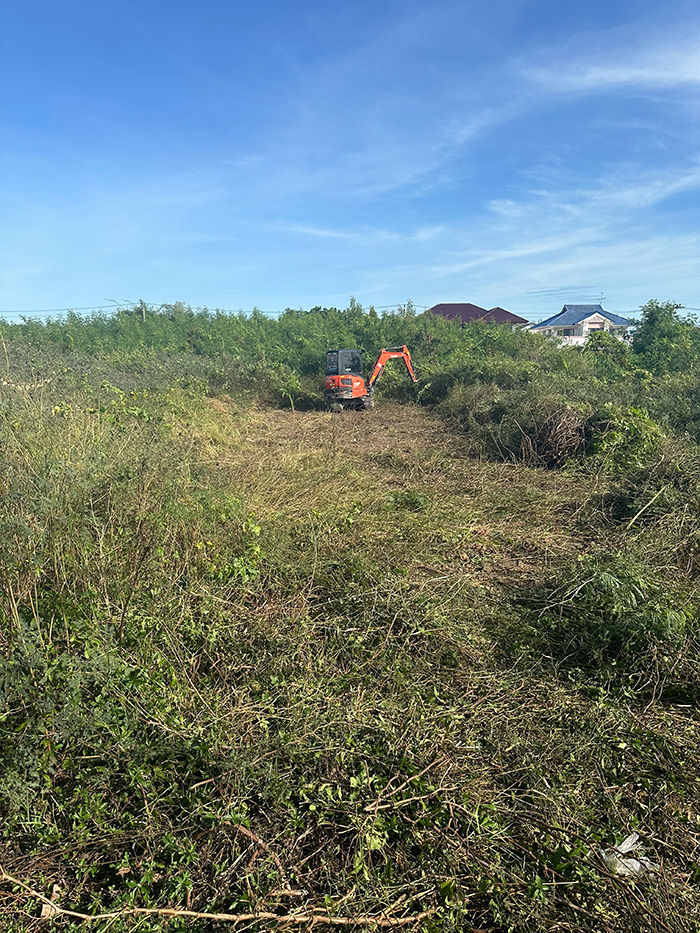 36 - https://รับจ้างตัดไม้ใหญ่กรุงเทพ.com | บริการครบวงจรด้านการดูแลต้นไม้และพื้นที่สีเขียว ตั้งแต่ตัดแต่ง โค่นต้นไม้ กำจัดวัชพืช จนถึงขนย้ายกิ่งไม้และเคลียร์พื้นที่ โดยทีมงานมืออาชีพในกรุงเทพฯ และปริมณฑล