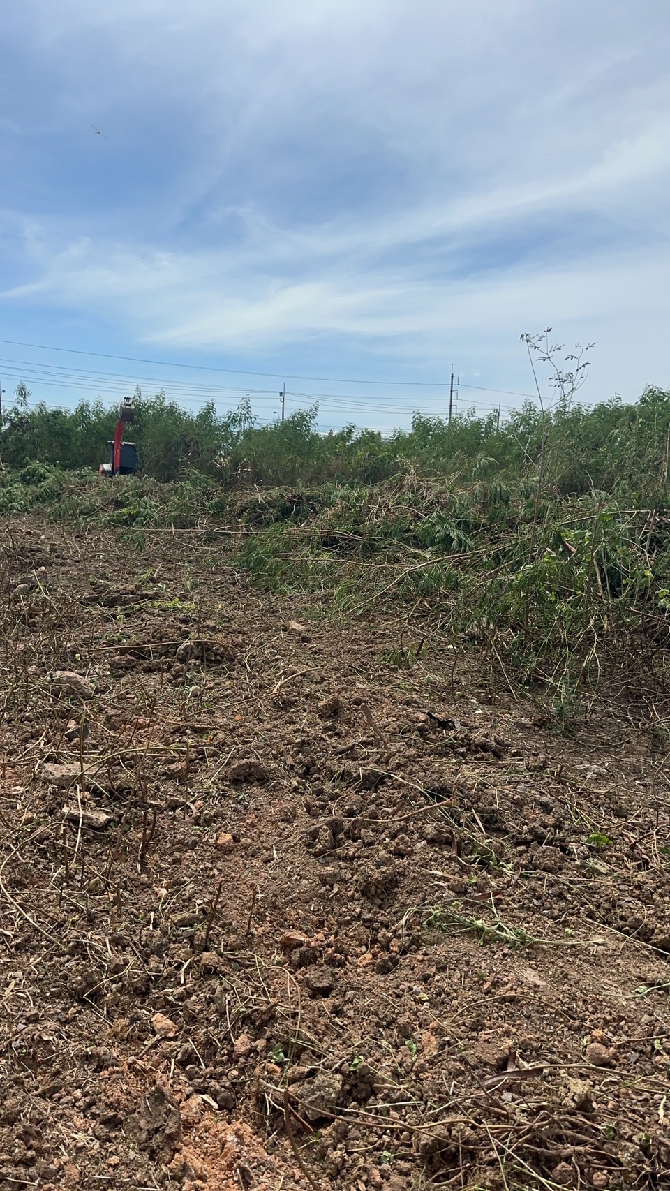 37 - https://รับจ้างตัดไม้ใหญ่กรุงเทพ.com | บริการครบวงจรด้านการดูแลต้นไม้และพื้นที่สีเขียว ตั้งแต่ตัดแต่ง โค่นต้นไม้ กำจัดวัชพืช จนถึงขนย้ายกิ่งไม้และเคลียร์พื้นที่ โดยทีมงานมืออาชีพในกรุงเทพฯ และปริมณฑล