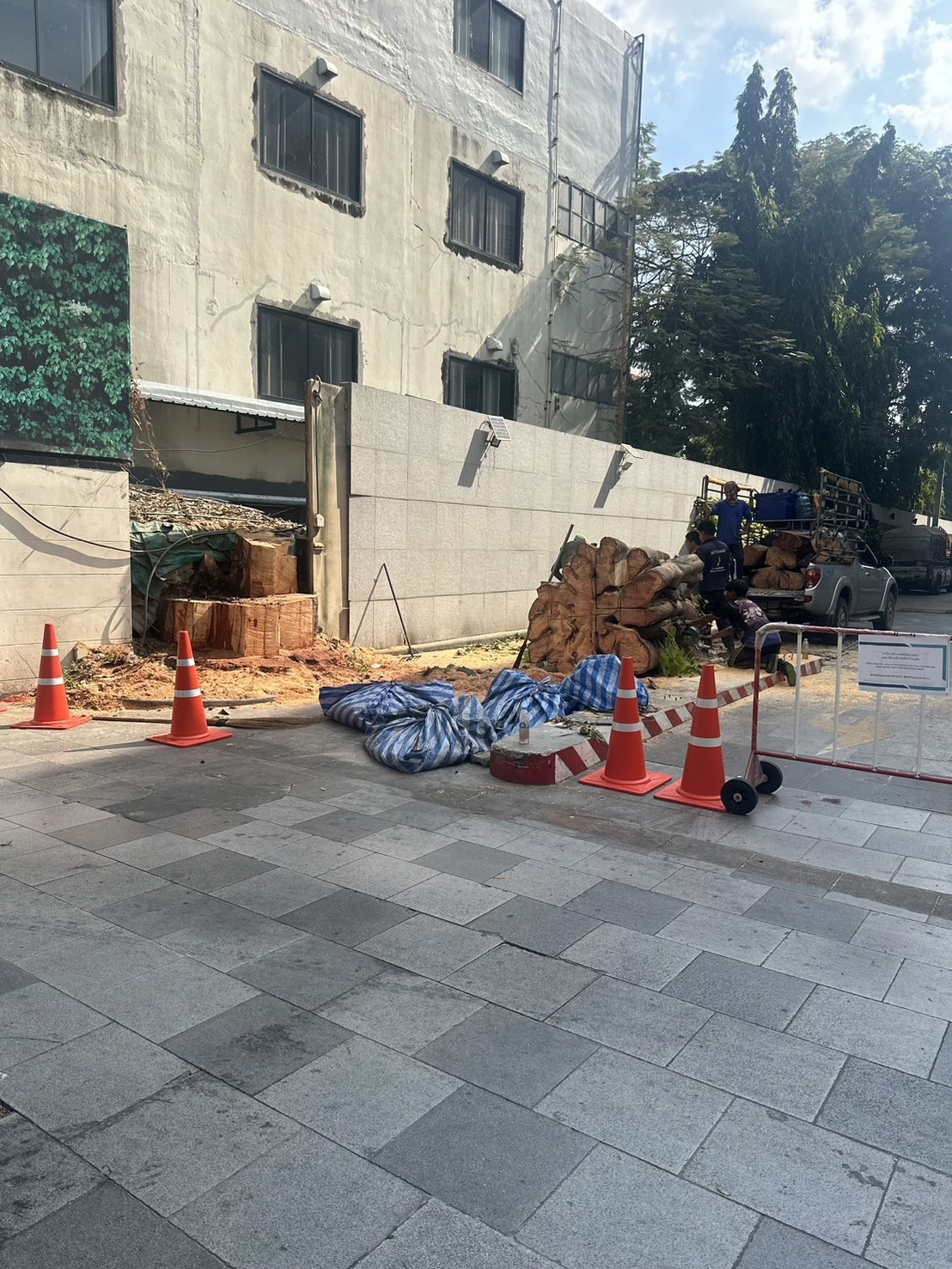 45 - https://รับจ้างตัดไม้ใหญ่กรุงเทพ.com | บริการครบวงจรด้านการดูแลต้นไม้และพื้นที่สีเขียว ตั้งแต่ตัดแต่ง โค่นต้นไม้ กำจัดวัชพืช จนถึงขนย้ายกิ่งไม้และเคลียร์พื้นที่ โดยทีมงานมืออาชีพในกรุงเทพฯ และปริมณฑล