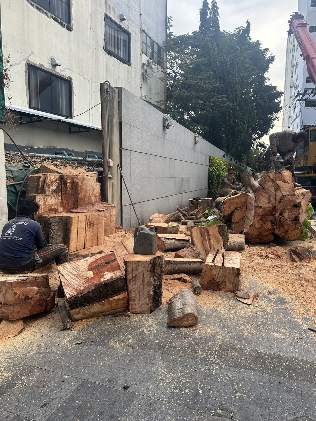 46 - https://รับจ้างตัดไม้ใหญ่กรุงเทพ.com | บริการครบวงจรด้านการดูแลต้นไม้และพื้นที่สีเขียว ตั้งแต่ตัดแต่ง โค่นต้นไม้ กำจัดวัชพืช จนถึงขนย้ายกิ่งไม้และเคลียร์พื้นที่ โดยทีมงานมืออาชีพในกรุงเทพฯ และปริมณฑล