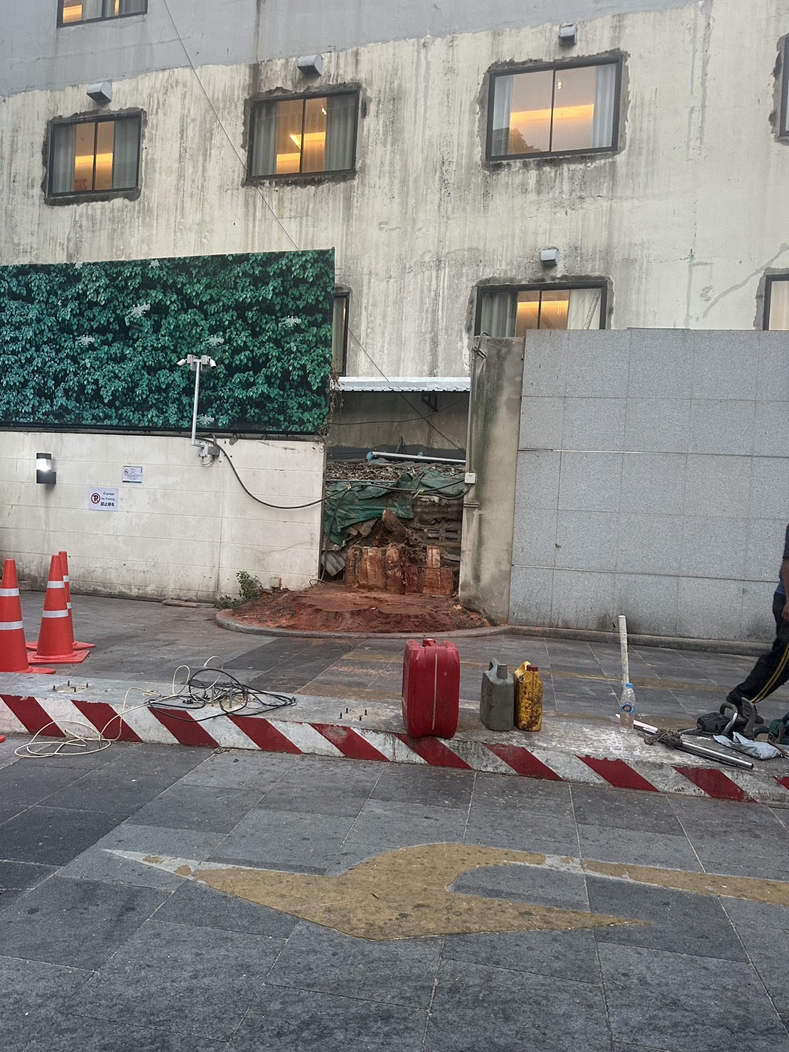 47 - https://รับจ้างตัดไม้ใหญ่กรุงเทพ.com | บริการครบวงจรด้านการดูแลต้นไม้และพื้นที่สีเขียว ตั้งแต่ตัดแต่ง โค่นต้นไม้ กำจัดวัชพืช จนถึงขนย้ายกิ่งไม้และเคลียร์พื้นที่ โดยทีมงานมืออาชีพในกรุงเทพฯ และปริมณฑล