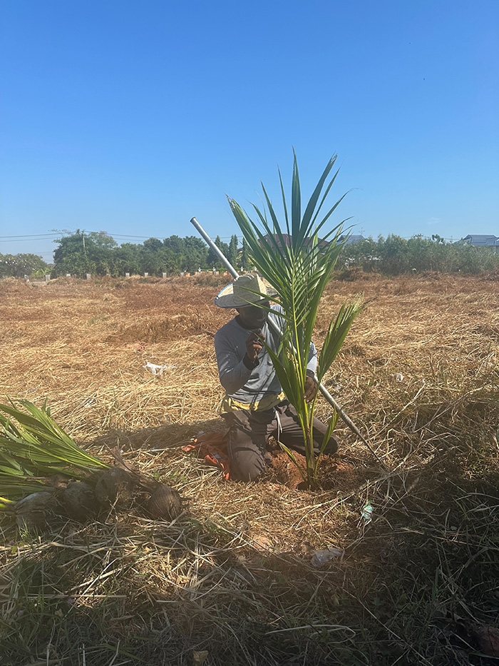 48 - https://รับจ้างตัดไม้ใหญ่กรุงเทพ.com | บริการครบวงจรด้านการดูแลต้นไม้และพื้นที่สีเขียว ตั้งแต่ตัดแต่ง โค่นต้นไม้ กำจัดวัชพืช จนถึงขนย้ายกิ่งไม้และเคลียร์พื้นที่ โดยทีมงานมืออาชีพในกรุงเทพฯ และปริมณฑล