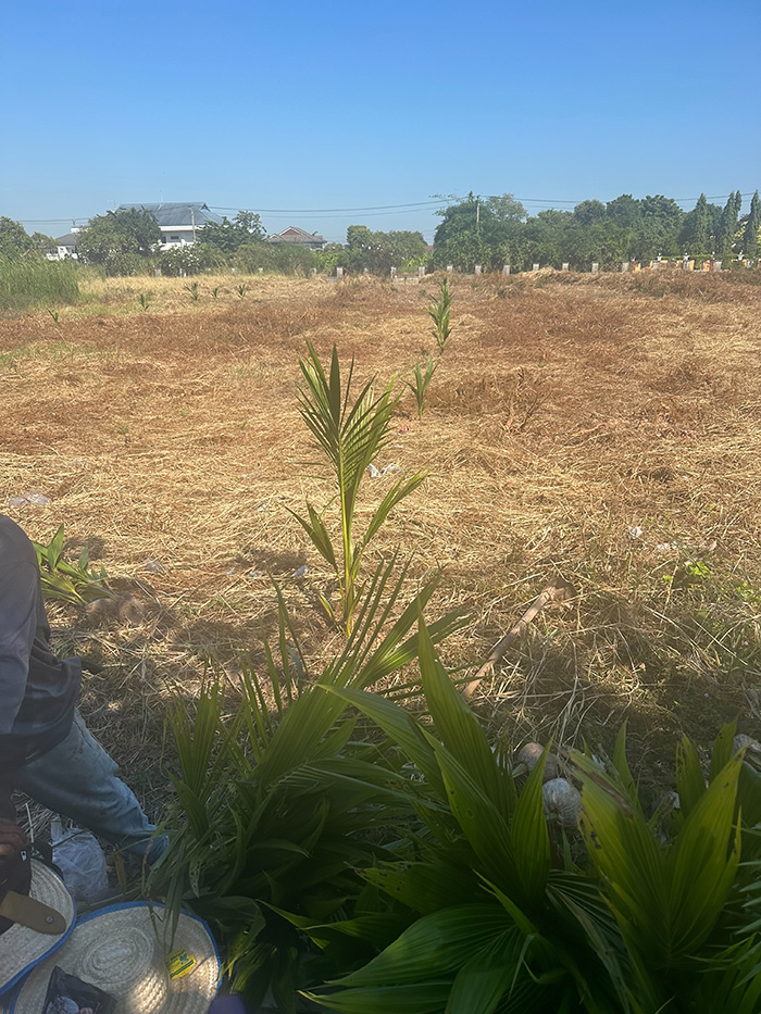 49 - https://รับจ้างตัดไม้ใหญ่กรุงเทพ.com | บริการครบวงจรด้านการดูแลต้นไม้และพื้นที่สีเขียว ตั้งแต่ตัดแต่ง โค่นต้นไม้ กำจัดวัชพืช จนถึงขนย้ายกิ่งไม้และเคลียร์พื้นที่ โดยทีมงานมืออาชีพในกรุงเทพฯ และปริมณฑล