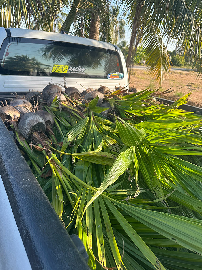 50 - https://รับจ้างตัดไม้ใหญ่กรุงเทพ.com | บริการครบวงจรด้านการดูแลต้นไม้และพื้นที่สีเขียว ตั้งแต่ตัดแต่ง โค่นต้นไม้ กำจัดวัชพืช จนถึงขนย้ายกิ่งไม้และเคลียร์พื้นที่ โดยทีมงานมืออาชีพในกรุงเทพฯ และปริมณฑล