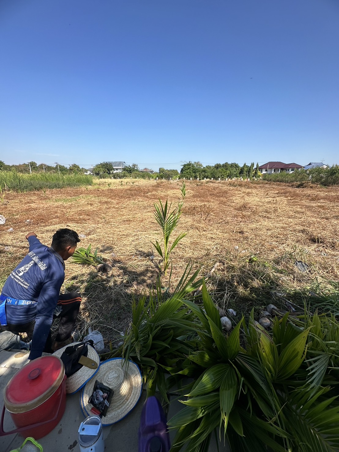 52 - https://รับจ้างตัดไม้ใหญ่กรุงเทพ.com | บริการครบวงจรด้านการดูแลต้นไม้และพื้นที่สีเขียว ตั้งแต่ตัดแต่ง โค่นต้นไม้ กำจัดวัชพืช จนถึงขนย้ายกิ่งไม้และเคลียร์พื้นที่ โดยทีมงานมืออาชีพในกรุงเทพฯ และปริมณฑล