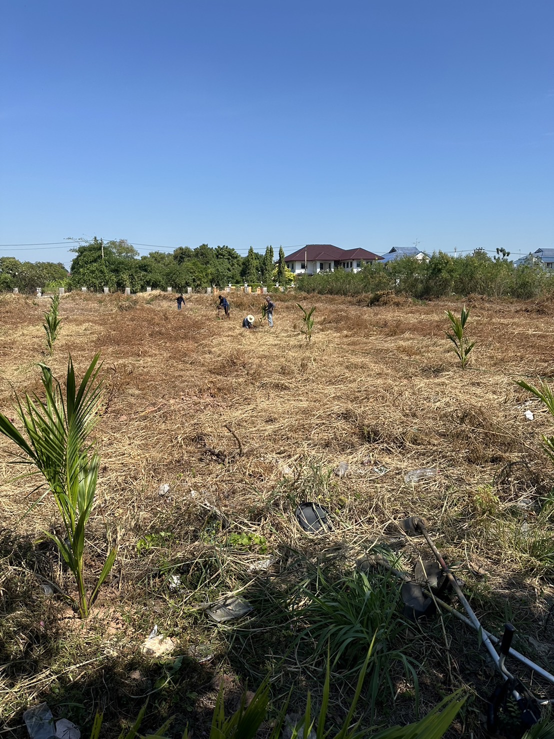 54 - https://รับจ้างตัดไม้ใหญ่กรุงเทพ.com | บริการครบวงจรด้านการดูแลต้นไม้และพื้นที่สีเขียว ตั้งแต่ตัดแต่ง โค่นต้นไม้ กำจัดวัชพืช จนถึงขนย้ายกิ่งไม้และเคลียร์พื้นที่ โดยทีมงานมืออาชีพในกรุงเทพฯ และปริมณฑล