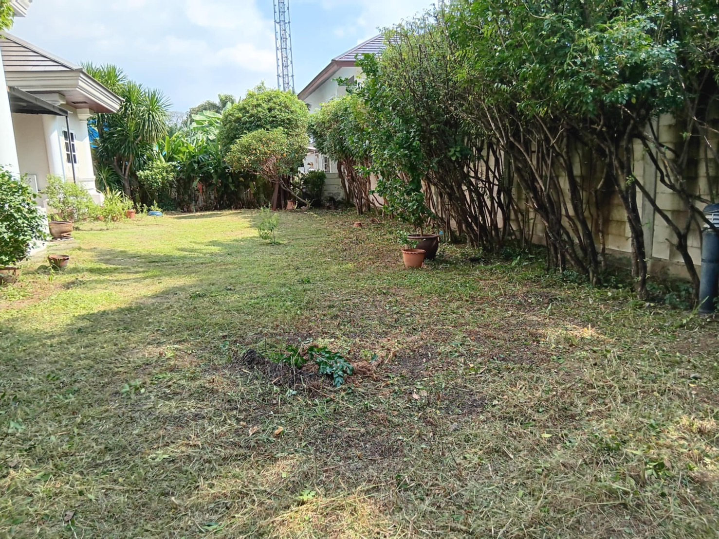 56 - https://รับจ้างตัดไม้ใหญ่กรุงเทพ.com | บริการครบวงจรด้านการดูแลต้นไม้และพื้นที่สีเขียว ตั้งแต่ตัดแต่ง โค่นต้นไม้ กำจัดวัชพืช จนถึงขนย้ายกิ่งไม้และเคลียร์พื้นที่ โดยทีมงานมืออาชีพในกรุงเทพฯ และปริมณฑล