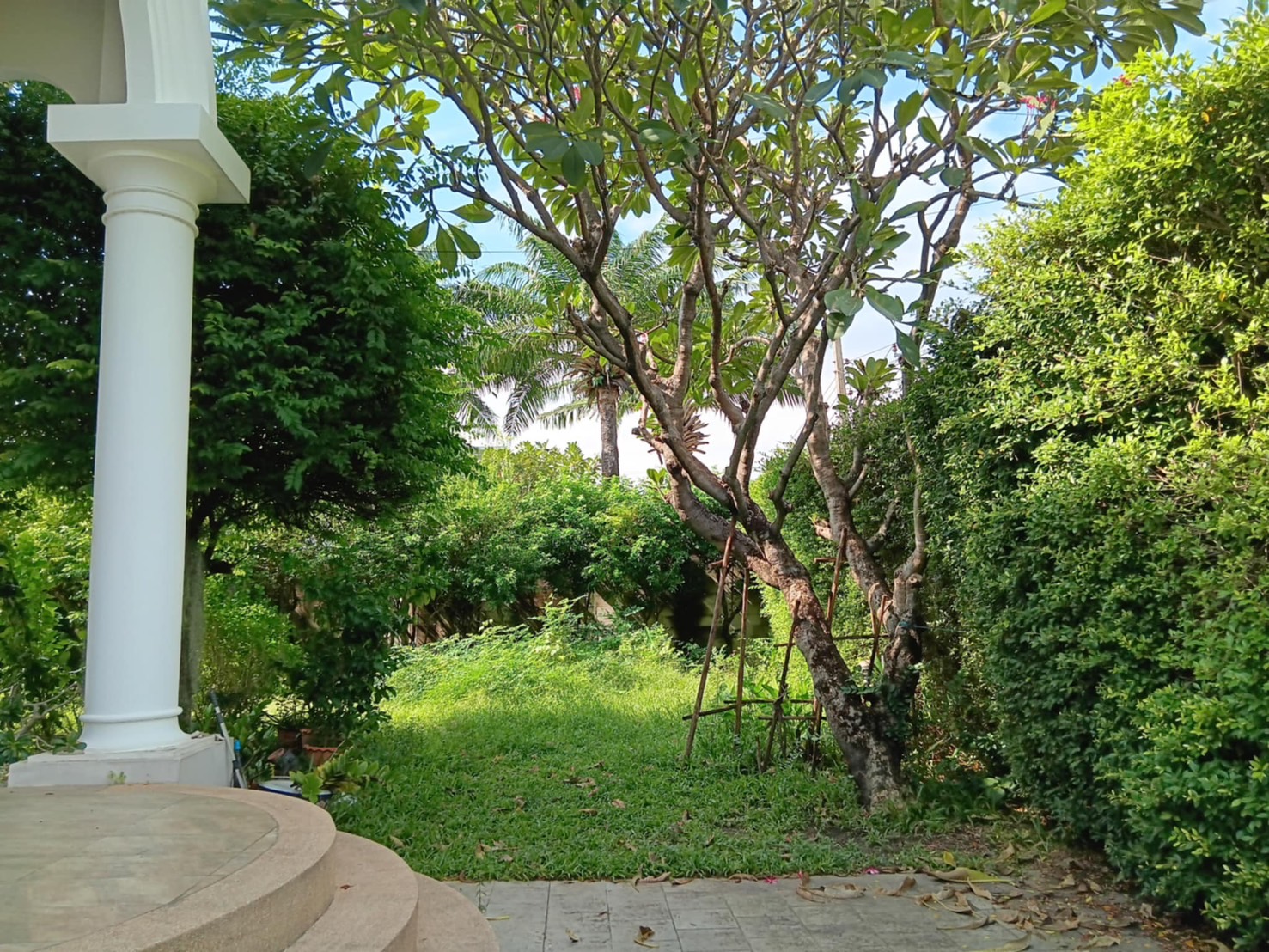 58 - https://รับจ้างตัดไม้ใหญ่กรุงเทพ.com | บริการครบวงจรด้านการดูแลต้นไม้และพื้นที่สีเขียว ตั้งแต่ตัดแต่ง โค่นต้นไม้ กำจัดวัชพืช จนถึงขนย้ายกิ่งไม้และเคลียร์พื้นที่ โดยทีมงานมืออาชีพในกรุงเทพฯ และปริมณฑล