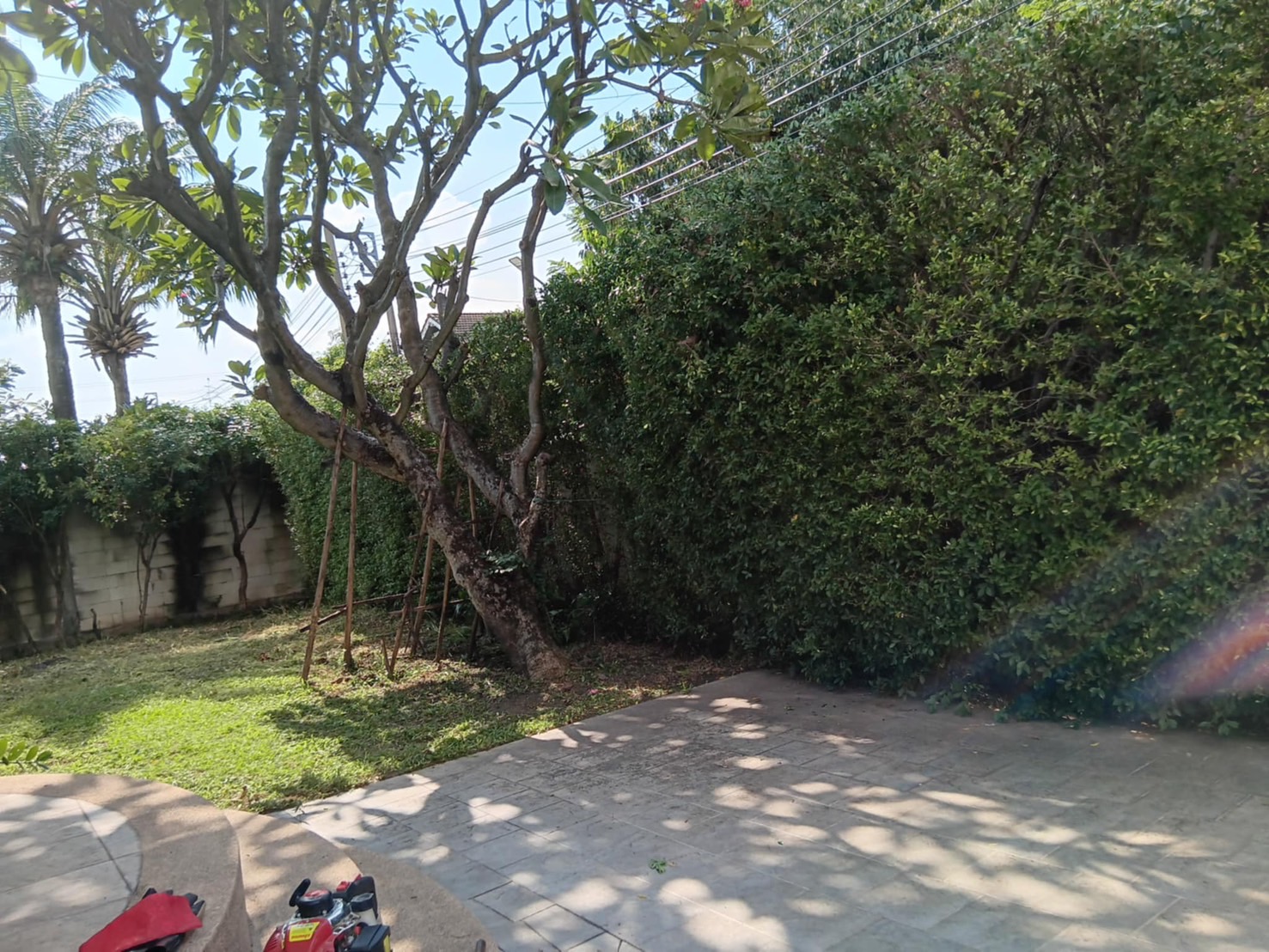 59 - https://รับจ้างตัดไม้ใหญ่กรุงเทพ.com | บริการครบวงจรด้านการดูแลต้นไม้และพื้นที่สีเขียว ตั้งแต่ตัดแต่ง โค่นต้นไม้ กำจัดวัชพืช จนถึงขนย้ายกิ่งไม้และเคลียร์พื้นที่ โดยทีมงานมืออาชีพในกรุงเทพฯ และปริมณฑล