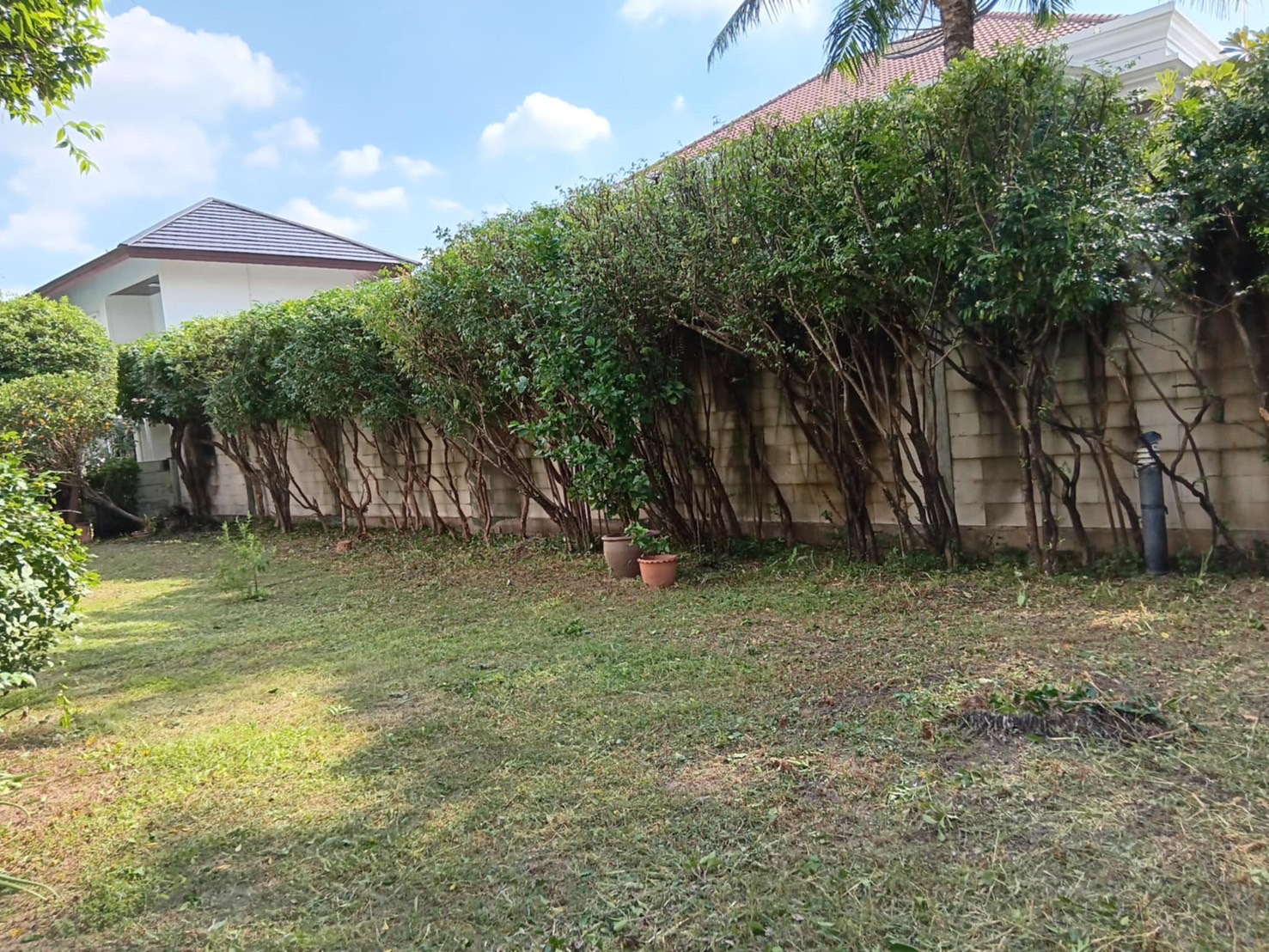 60 - https://รับจ้างตัดไม้ใหญ่กรุงเทพ.com | บริการครบวงจรด้านการดูแลต้นไม้และพื้นที่สีเขียว ตั้งแต่ตัดแต่ง โค่นต้นไม้ กำจัดวัชพืช จนถึงขนย้ายกิ่งไม้และเคลียร์พื้นที่ โดยทีมงานมืออาชีพในกรุงเทพฯ และปริมณฑล