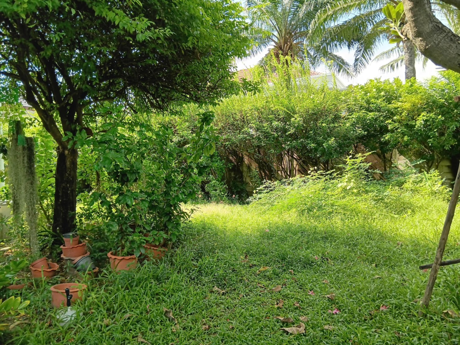 62 - https://รับจ้างตัดไม้ใหญ่กรุงเทพ.com | บริการครบวงจรด้านการดูแลต้นไม้และพื้นที่สีเขียว ตั้งแต่ตัดแต่ง โค่นต้นไม้ กำจัดวัชพืช จนถึงขนย้ายกิ่งไม้และเคลียร์พื้นที่ โดยทีมงานมืออาชีพในกรุงเทพฯ และปริมณฑล