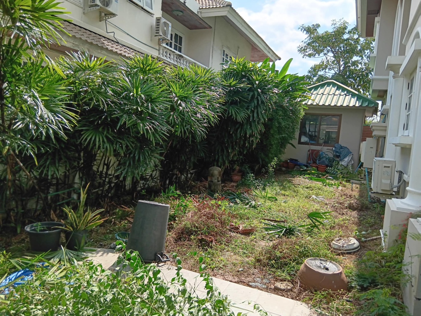 63 - https://รับจ้างตัดไม้ใหญ่กรุงเทพ.com | บริการครบวงจรด้านการดูแลต้นไม้และพื้นที่สีเขียว ตั้งแต่ตัดแต่ง โค่นต้นไม้ กำจัดวัชพืช จนถึงขนย้ายกิ่งไม้และเคลียร์พื้นที่ โดยทีมงานมืออาชีพในกรุงเทพฯ และปริมณฑล