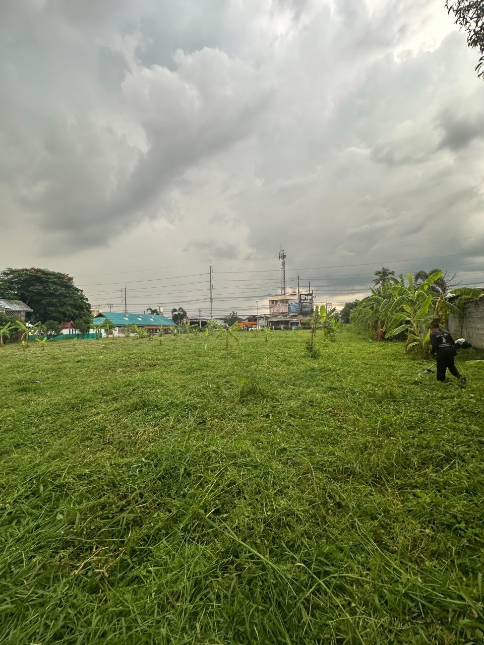 7 - https://รับจ้างตัดไม้ใหญ่กรุงเทพ.com | บริการครบวงจรด้านการดูแลต้นไม้และพื้นที่สีเขียว ตั้งแต่ตัดแต่ง โค่นต้นไม้ กำจัดวัชพืช จนถึงขนย้ายกิ่งไม้และเคลียร์พื้นที่ โดยทีมงานมืออาชีพในกรุงเทพฯ และปริมณฑล